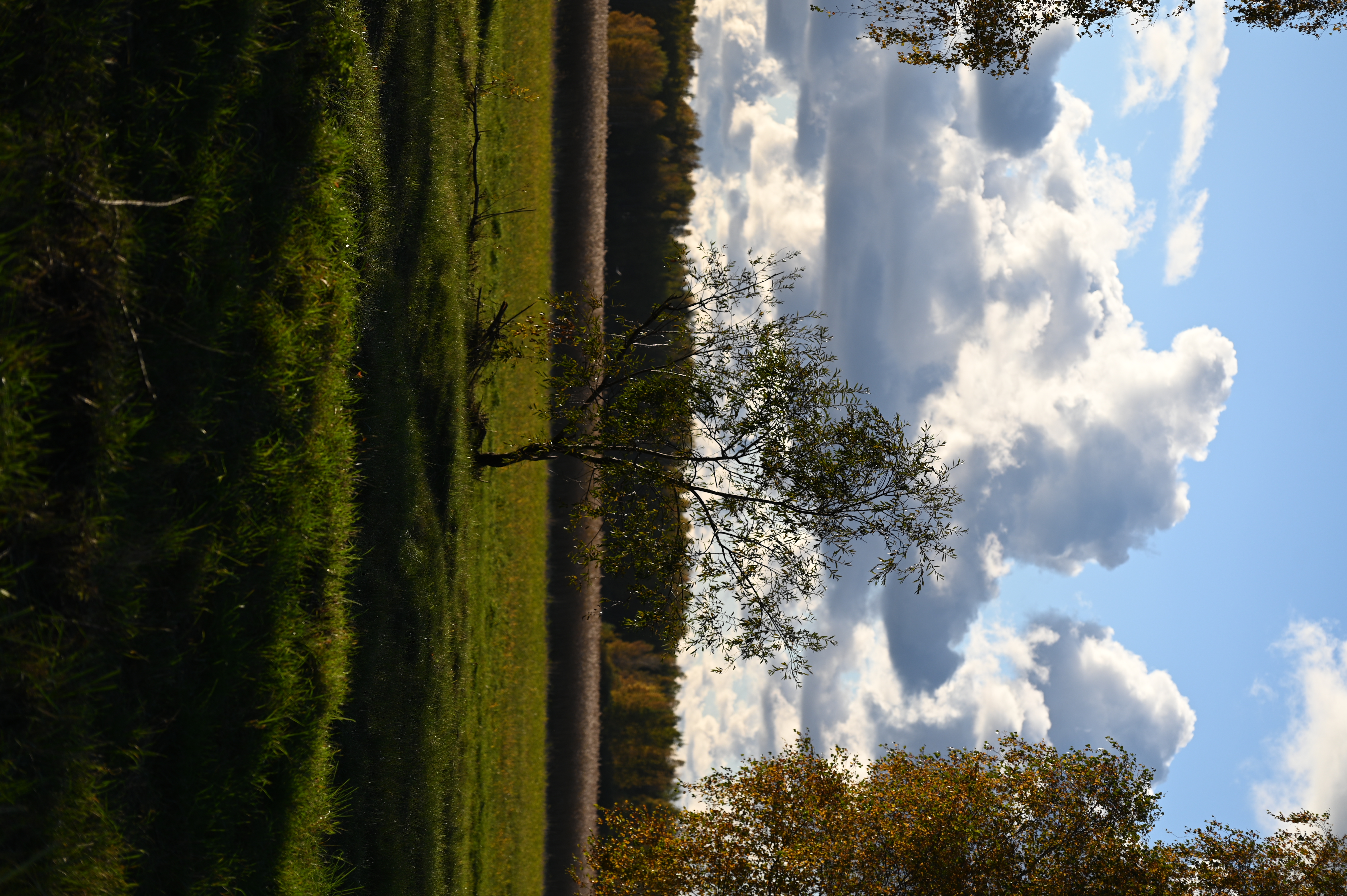 2025/10/18 - walk/DSC_0145.JPG